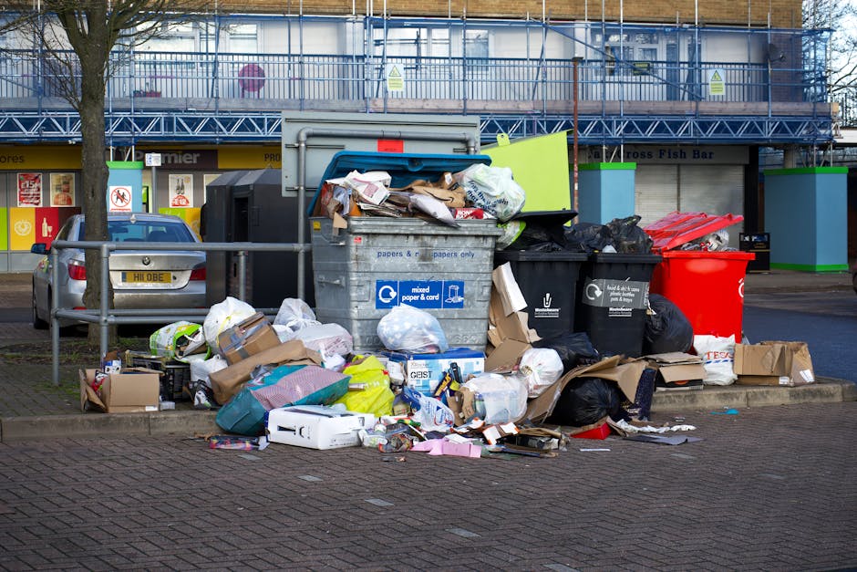 Rubbish collection near Seven Sisters station what to know